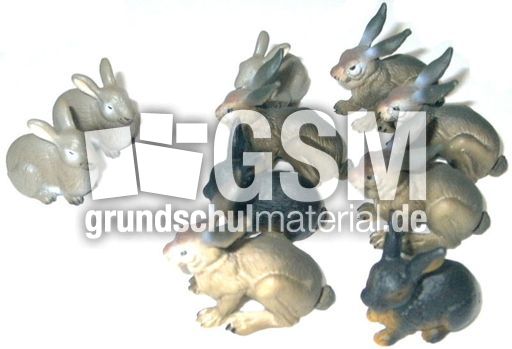 Hasen2+8.jpg